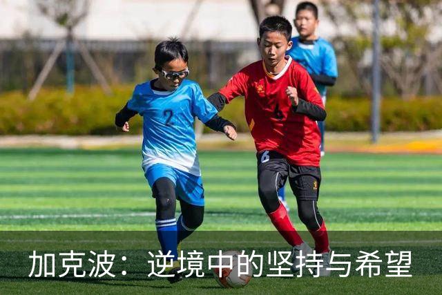 加克波：逆境中的坚持与希望