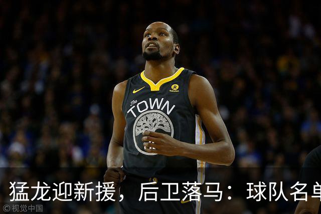 猛龙迎新援，后卫落马：球队名单再刮风